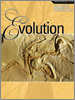 2006 Evolution